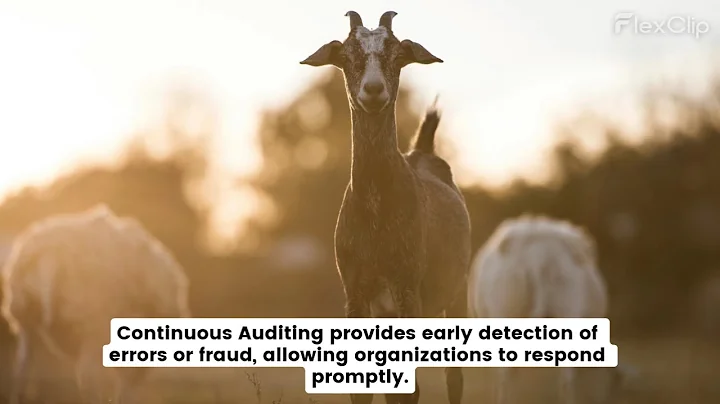 Continuous Auditing (The future of Audit 2025)