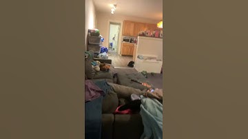 Perfect loop? #funny #loop #satisfyingloop #endlessloop #perfectloop