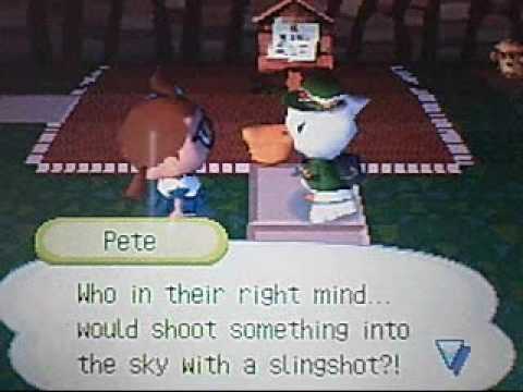 Animal Crossing Wild World Cheats How To Get A Dog Animal Crossing Wild World Cheats How To Get A Dog