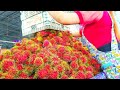 Street Food Thailand Thousand Rambutan |ランブータン| 람부탄 | रामबूटन Fruit Market Thailand | Tasty Journey