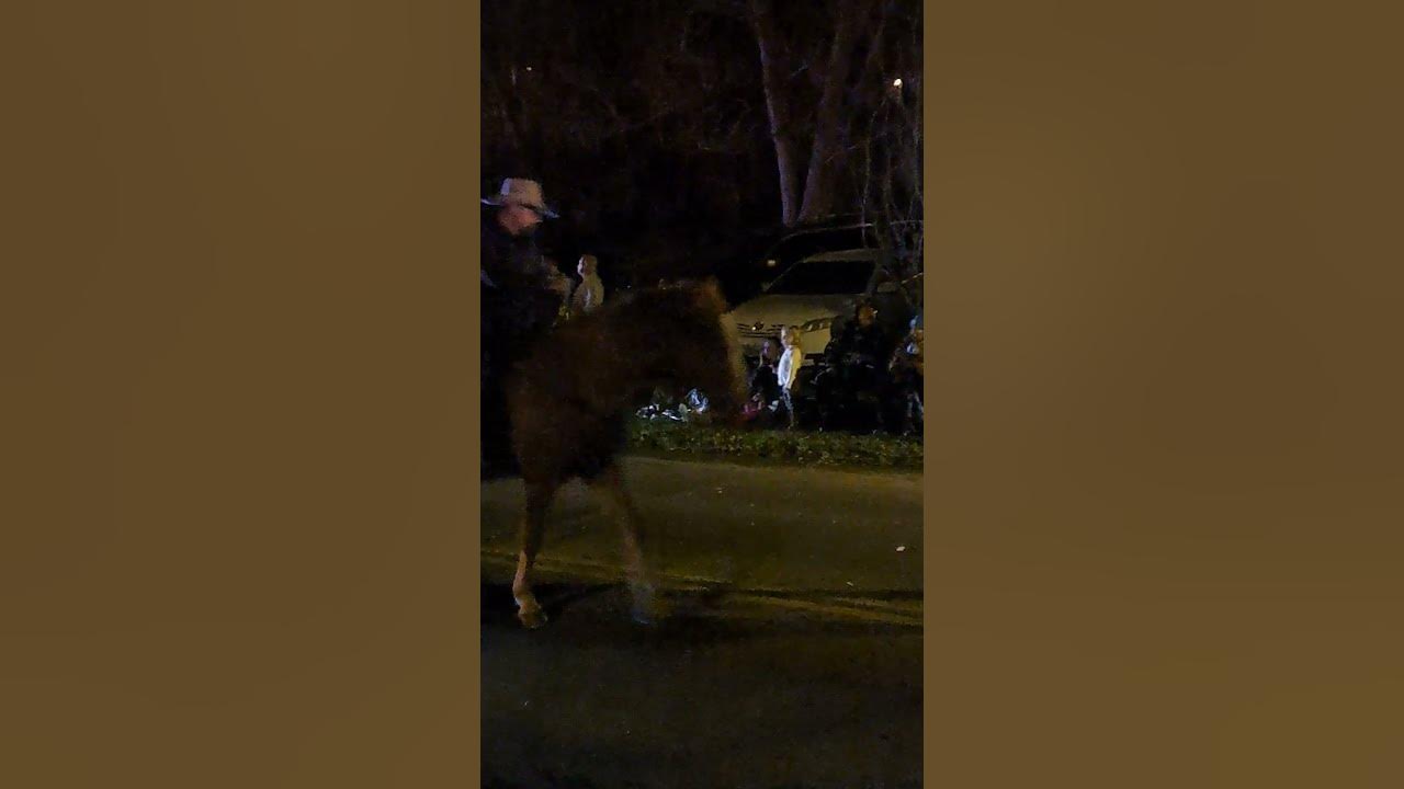 Christmas Parade in Jonesborough Part 5 Parade Christmas shorts 
