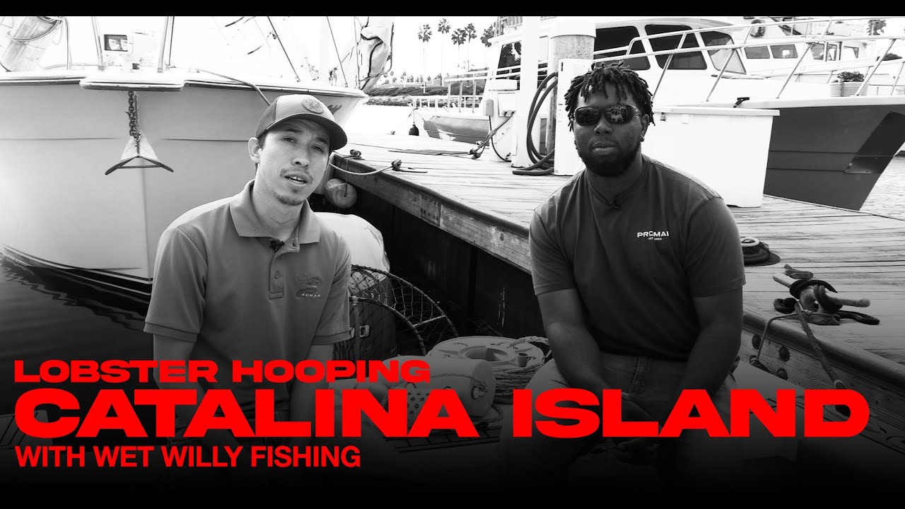 Lobster Hooping At Catalina Island With Wet Willy Fishing - Promar & Ahi USA