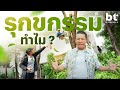 รุกขกรรม....ศาสตร์แห่งการดูแลต้นไม้ด้วยหัวใจ