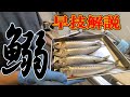 [イワシ編]魚屋アングラーが勧めるイワシの早卸＆皮引き