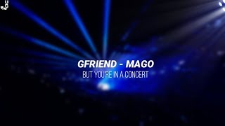 GFRIEND - MAGO | BUT YOU'RE IN A CONCERT | 🎧USE HEADPHONES🎧 | CONCERT AUDIO EFFECT | EMPTY ARENA