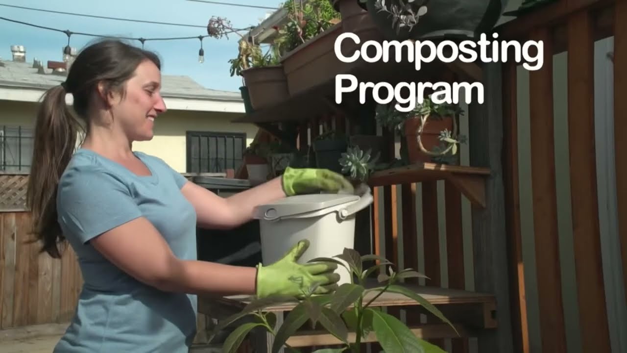 Talking about Trash, Recycle and Greenery - What Goes Where