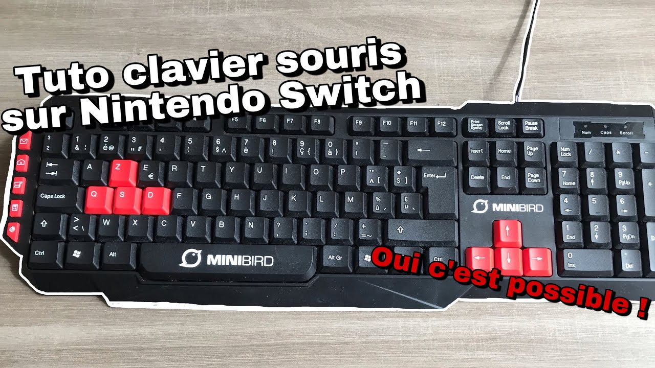 [TUTO] - COMMENT JOUER CLAVIER SOURIS SUR NITENDO SWITCH - [ EXPLICATION  COMPLETTE ] 