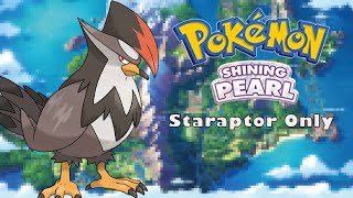 Can I Beat Pokemon Shining Pearl With Only Staraptor? | No Items In Battle