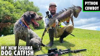 We Sold Otto And Got A New Iguana Dog Named Catfish