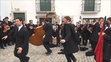 TAFDUP Tuna Académica da Faculdade de Direito do Porto - Burguesinha - XVI Fartuna (2014)