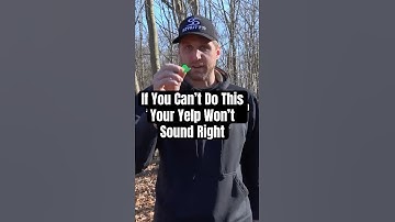 🤯 Your Yelp Will Never Sound Right Until You Fix This! #turkeyhunting #turkeymouthcalls #hunting