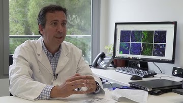 As Corresponding Author, J. Seoane discusses a VHIO-led study published in Nature Communications