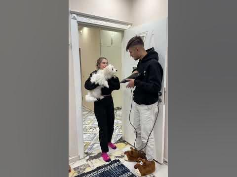 Mike tyson jake paul ne zaman saat kaçta
