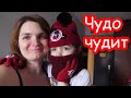 VLOG Есть ли в Испании бродячие животные