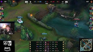 LS Solarbacca garen counter part 2