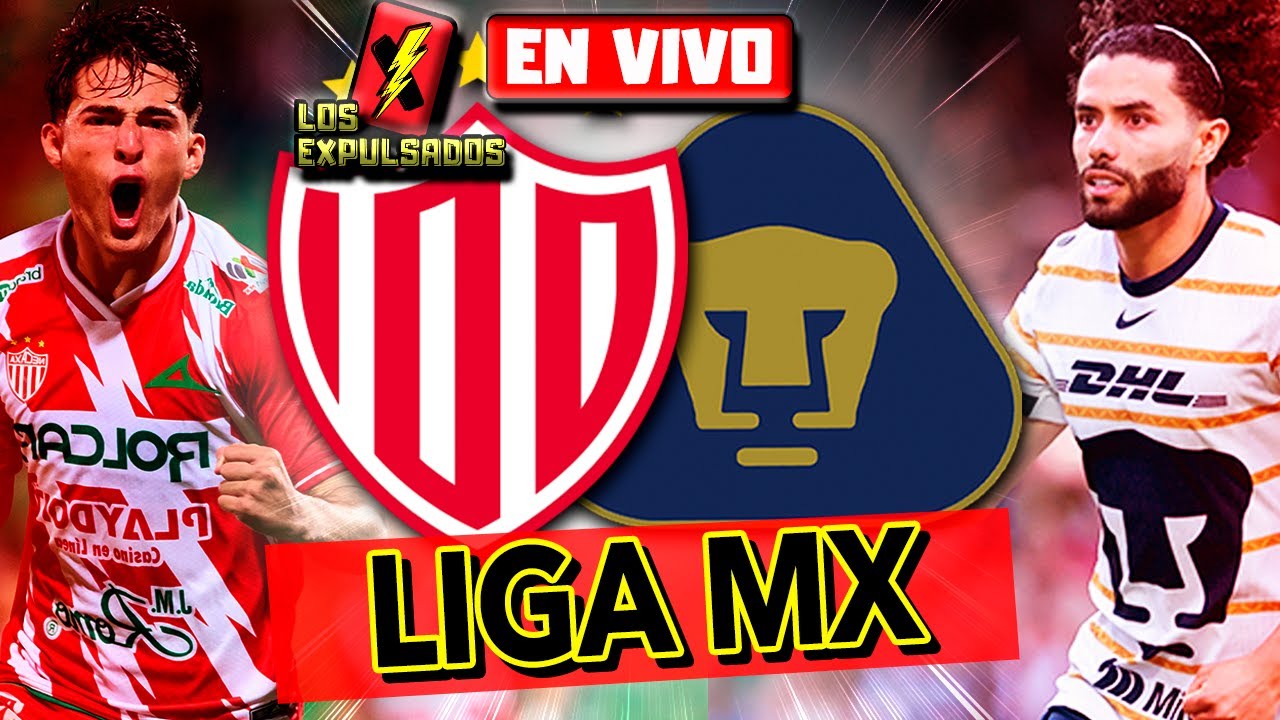 🔴 NECAXA vs PUMAS | RELATO EMOCIONANTE 🎙️ EN VIVO | LIGA MX 2024 | Los ...