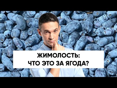 Видео: Черника и джамун - это одно и то же?