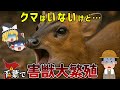 【悲鳴】千葉県のクマよりヤバい！？害獣6選【ゆっくり解説】