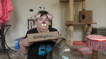 Kitnip Box Unboxing August 2024! 😻