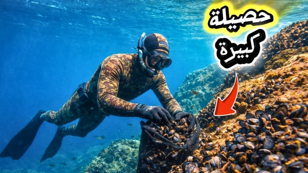 صيد الاسماك بالرمح  ❌❌ تعرضت لصدمة قوية