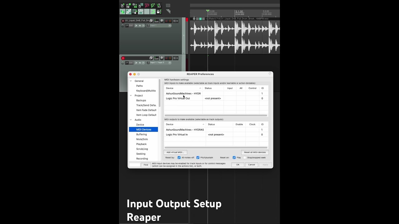 ROUTING INPUT/OUTPUT | REAPER  