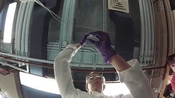 UF Southeast Center for Integrated Metabolomics Core 1 Lab