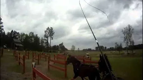 Cindy O'Reilly at Southern Pines CDE 2011, Part 1