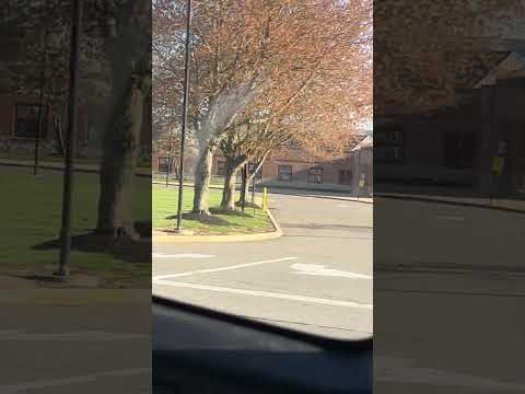 Indian Fields Elementary School And Playgrounds And Tree Blossoms 4/11/26
