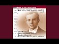 Miniature de la vidéo de la chanson Violin Concerto No. 1, Op. Posth.: I. Andante Sostenuto
