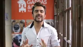 Ayuda A Gyp Gratis Con Helpfreely.org