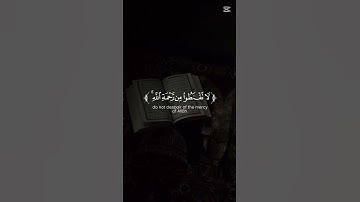 قران كريم بصوت جميل 