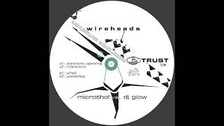Microthol vs. DJ Glow - Wireheads (2003)