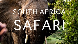 South Africa Safari | Karongwe Game Reserve