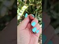 Releasing tiny baby anole Playa del Carmen Mexico tropical Caribbean jungle city lizard life #wild