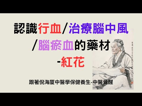 認識行血治療腦中風腦瘀血的藥材-紅花 跟著倪海厦中醫學保健養生-中醫覺醒
