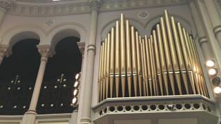 O Come All Ye Faithful - Miraculous Medal Shrine