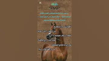 أهديتني أعجوبـــة بين الخلائق نادرة 