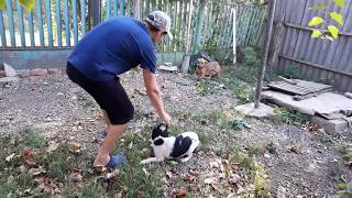 У НАС ПОПОЛНЕНИЕ\БОИМСЯ ОСУЖДЕНИЙ\ПОЧЕМУ НЕ ОТДАЮТ ПОСЫЛКУ\ДОМ В ДЕРЕВНЕ У НАС ПОПОЛНЕНИЕ\БОИМСЯ ОСУЖДЕНИЙ\ПОЧЕМУ НЕ ОТДАЮТ ПОСЫЛКУ\ДОМ В ДЕРЕВНЕ