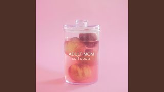 Video thumbnail of "Adult Mom - Ephemeralness"