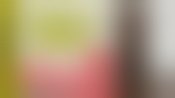 So I bought a knock off Odin Speedloader...