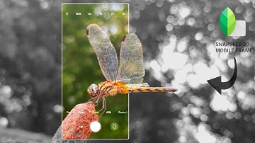 3D Mobile Frame photo editing - Snapseed tutorial | black & white double exposure | itsmyart_bitch |
