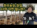 귀농 한우농사 10억으로 가능할까? 견적 내보기