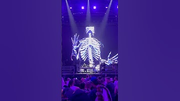 ⁠@ARTBAT at ​⁠@creamfields 2024 #creamfields #techno #creamfields2024 #videoeffects #skeleton