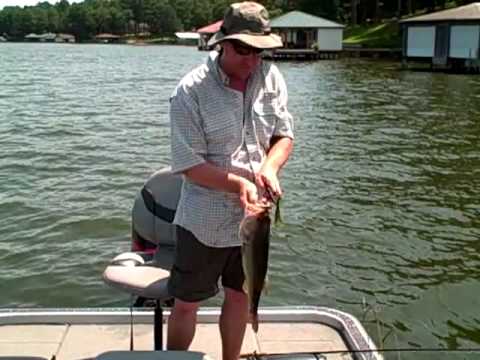 Lake Palestine Texas Bass Fishing Aug 6, 2010 - YouTube