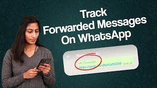 How Many Times Your Message Forwarded On WhatsApp Messenger? | Whatsapp Forwarded Message Trick screenshot 4