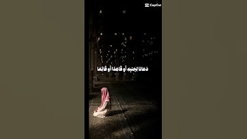 تلاوة خاشعة #quran #اكسبلور #حالات #تيك_توك #explore #رمضان #لايك #تلاوة_خاشعة #ترند #قرآن #نصائح