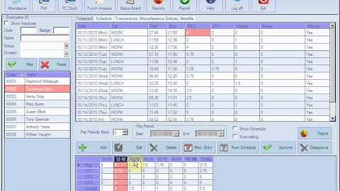 AMG Time & Attendance System employees timecard