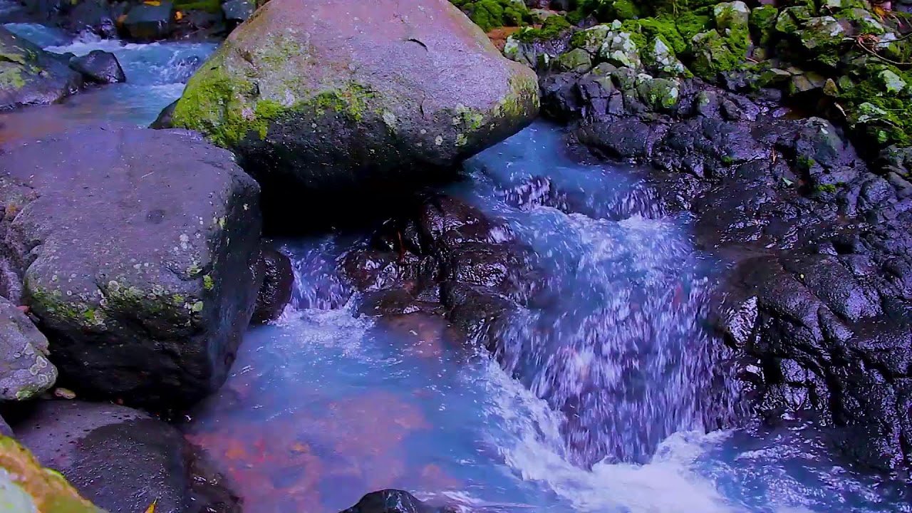 Relaxing River Sound Journey | Deep Sleep Calm Nature Ambience