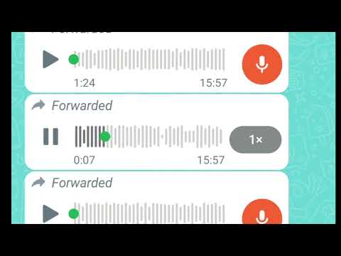 اسمعوا ليش شلال خان عمل السرك مع يسران المقطري