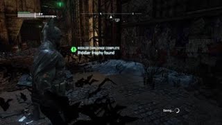 Batman: Return to Arkham - Arkham City Industrial  District Batarang Riddler Challenge Trophy